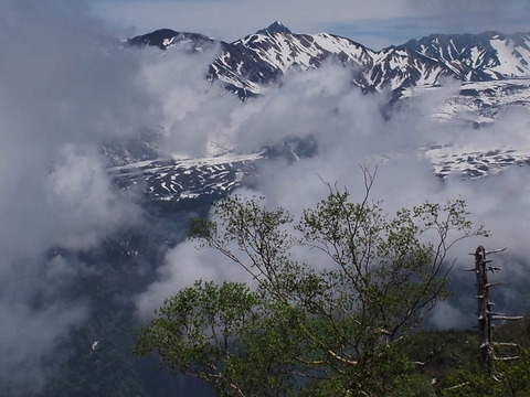 P5313860