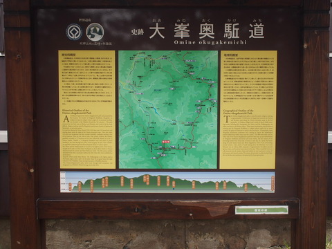 P5150133