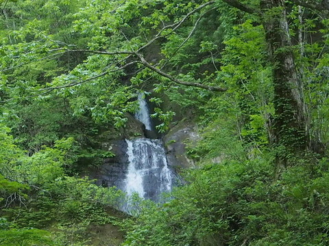 P5260036