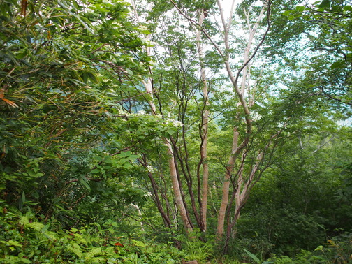 P7280021