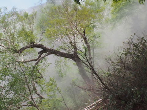 P5313835