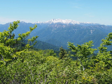 P6070191