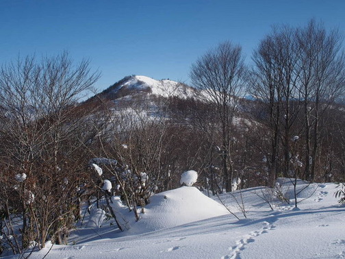 P2030095