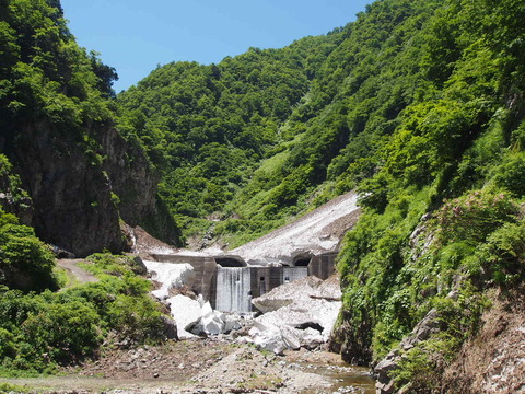P6110117
