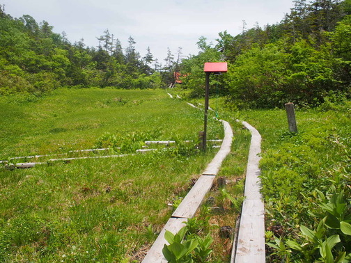 P7070066