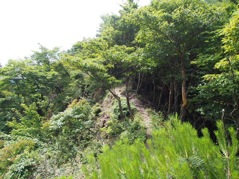 P7020023
