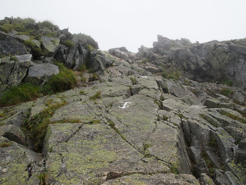 P8312065