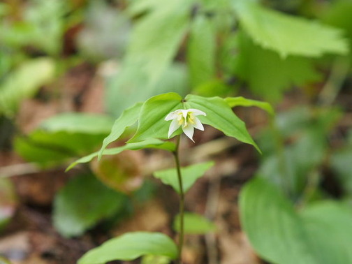 P5050088