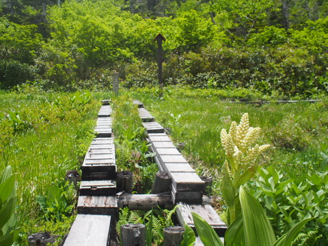 P7070062