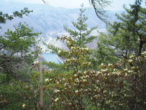 P4210076