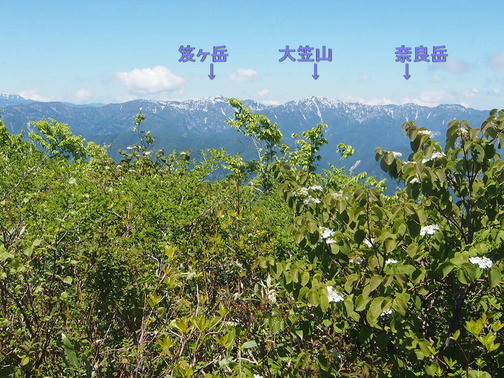 P6070204