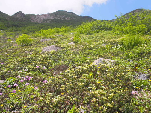 P8040052