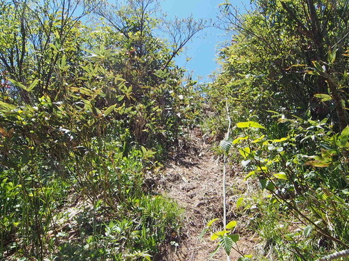 P6070202
