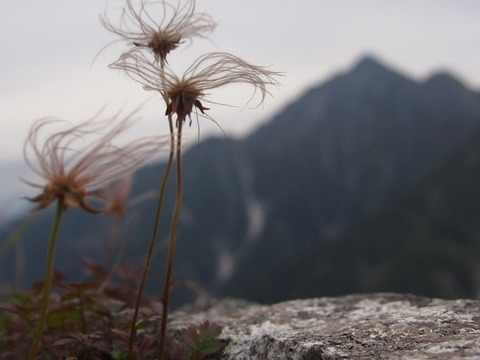 P9220753