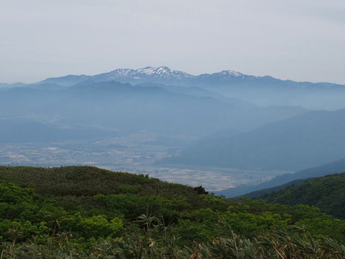 P6020268