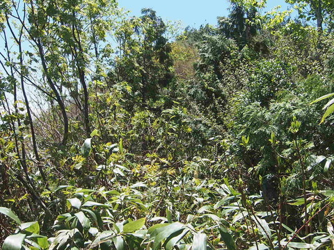 P6070198