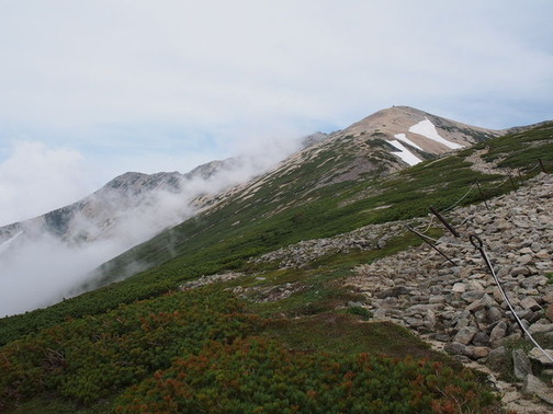P7090088