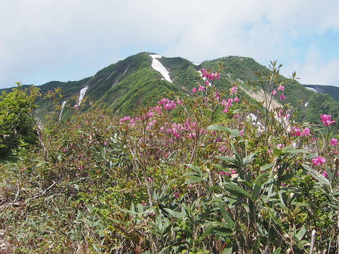 P6210050