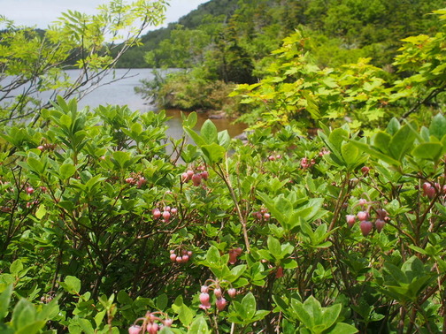 P7070063