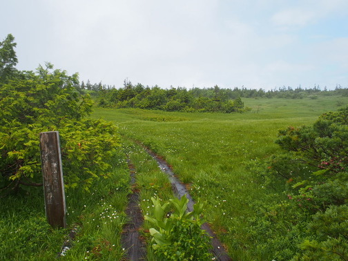 P7070015