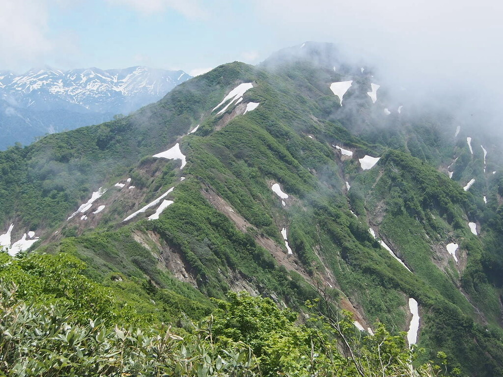 剱岳北方稜線 越中駒ヶ岳 分け入っても分け入っても白き山 剱岳北方稜線 越中駒ヶ岳 分け入っても分け入っても白き山