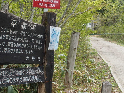 P5120001