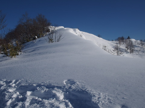 P2030087