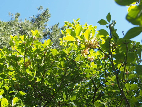 P6070156
