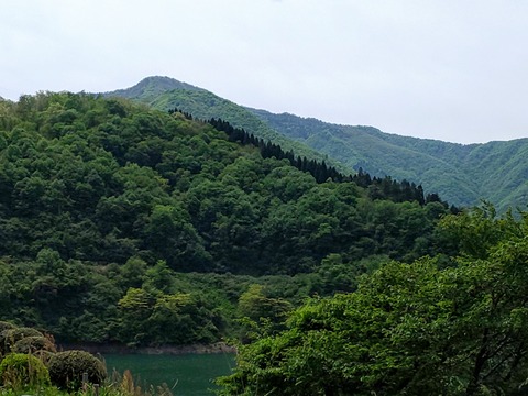 DSC_0335~2