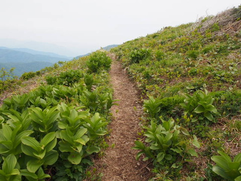 P6020240