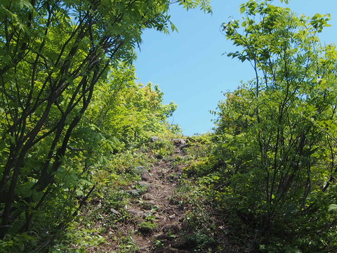 P6210023