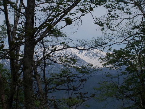 P5260108