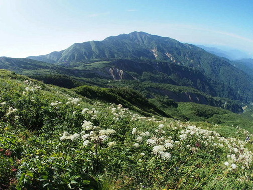 P8050008