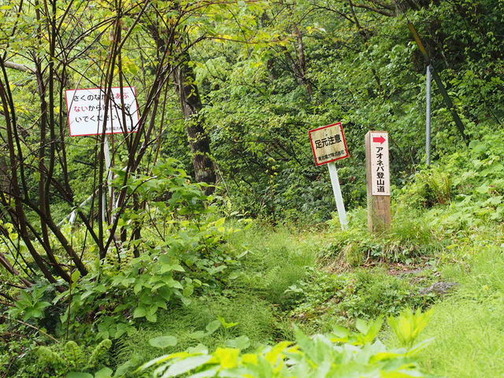 P5040025
