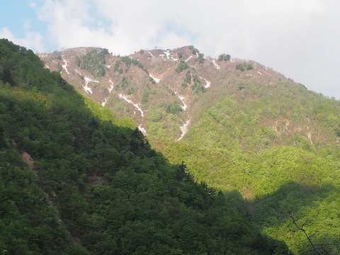 P5056949