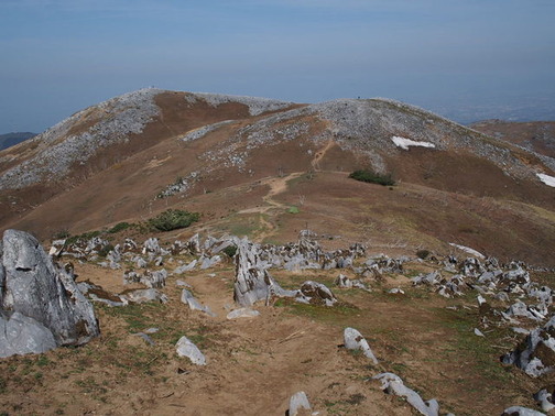 P4220045