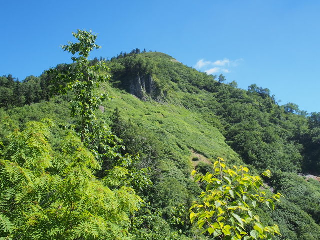 頸城の桃源郷 天狗原山 金山 分け入っても分け入っても白き山