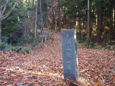 PC020009
