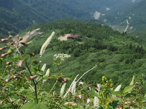 P8160717
