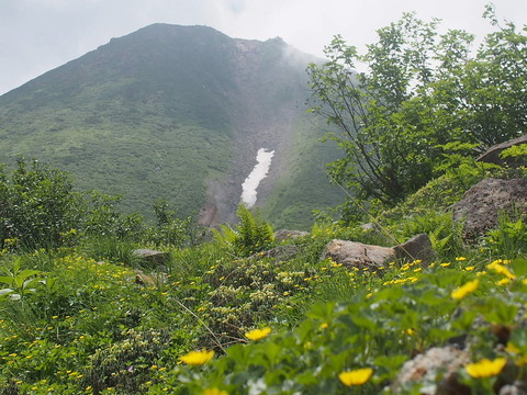 P8040069