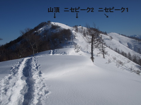 P2030091