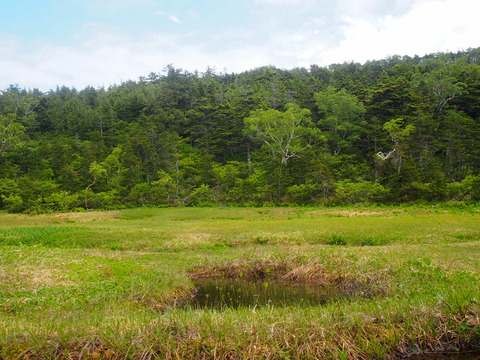 P7070039