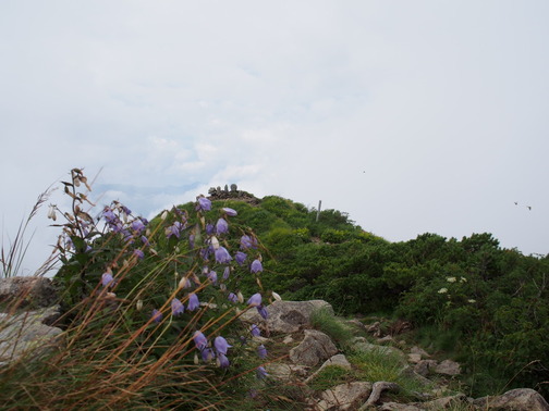 P7280063