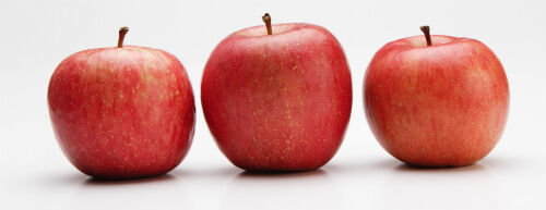 apple apple