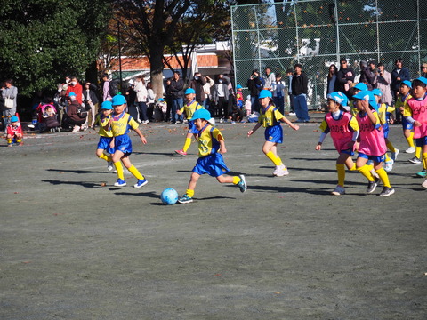 PB230063