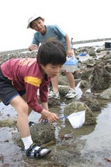 海森3
