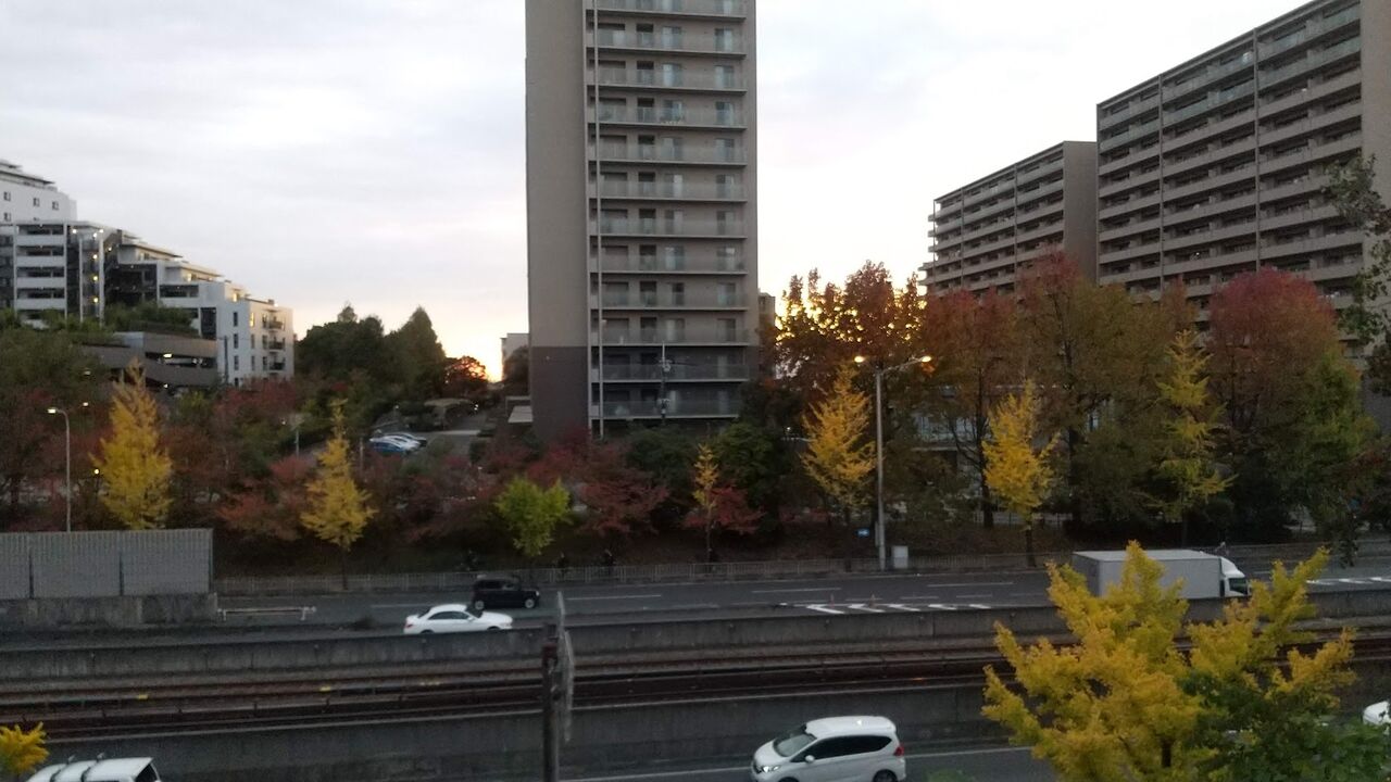 病気と怪我 いまだに リハビリ途上 と昨日のテレビで知りました ゆるりと暮らす