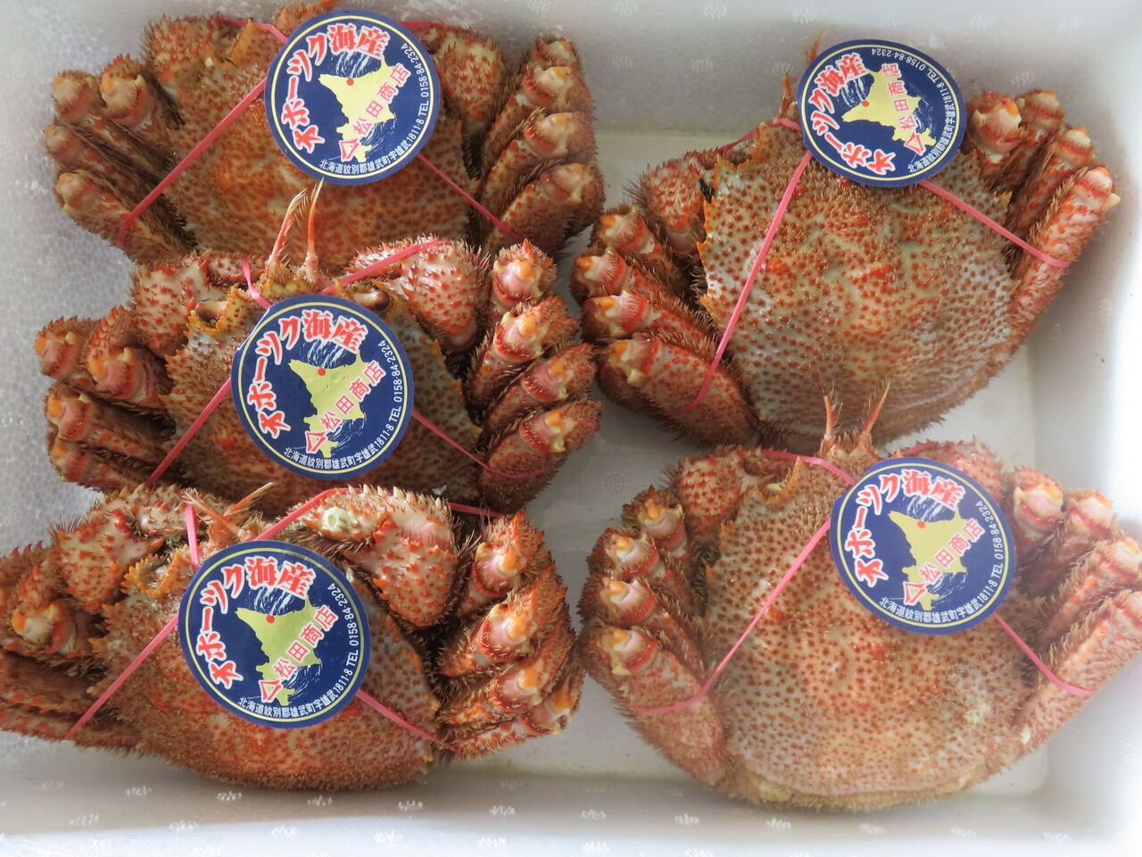 今年も オホーツク海 から 毛蟹 が届きました 日本語教室 アメリカ 中国の人に ゆるりと暮らす