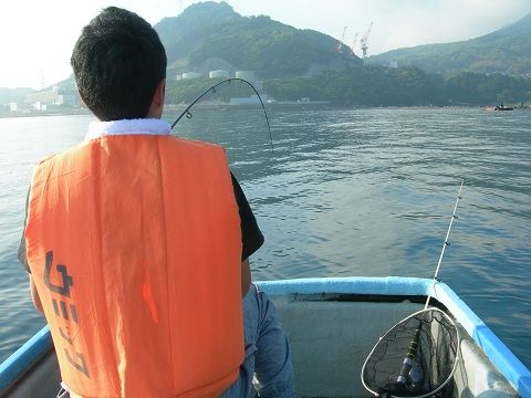 ウミックへ 貸しボート釣りを初体験 ガシラ アコウ アジ Kosukaファミリーの暮らし日記 ウミックへ 貸しボート釣りを初体験 ガシラ アコウ アジ Kosukaファミリーの暮らし日記