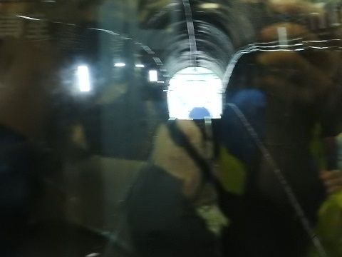 1707trip29